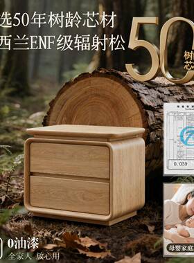 卧室实木小纳柜边子床床边侧柜储NOK物收柜2026新款抽屉头双层置