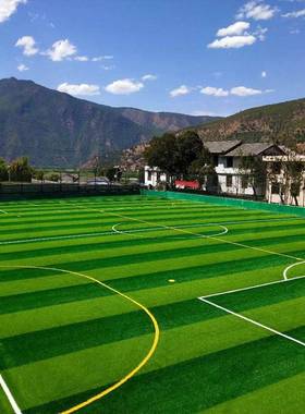 人造草塑料绿植幼儿园人工外草皮装饰地毯假垫坪户WMJ绿色足球场