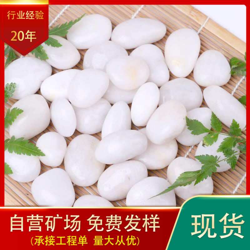 白色石子鹅卵石铺路石头雨花石鹅软石水培郁金香鱼缸造景雨花石
