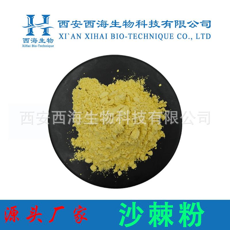 沙棘粉99 食品原料 沙棘果粉 专业做沙棘 沙棘汁粉 厂家直供 现货