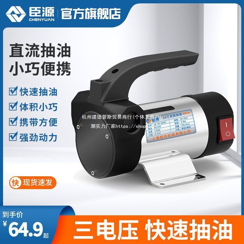 臣源电动抽油泵柴油小型12V24V220V伏自动加油机自吸泵直流抽油器