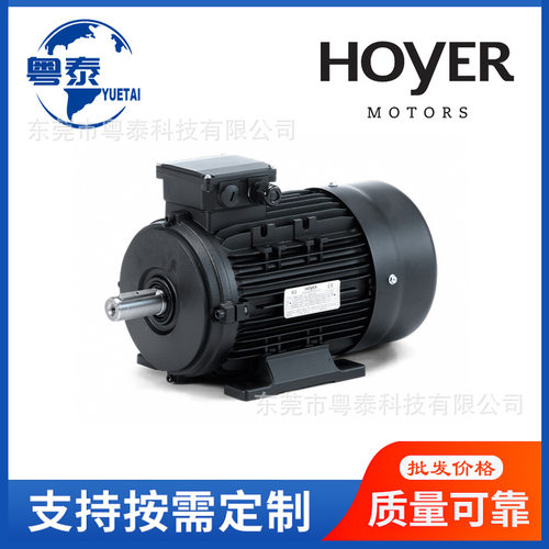 HOYER电机MS5624/7124/HMA系列