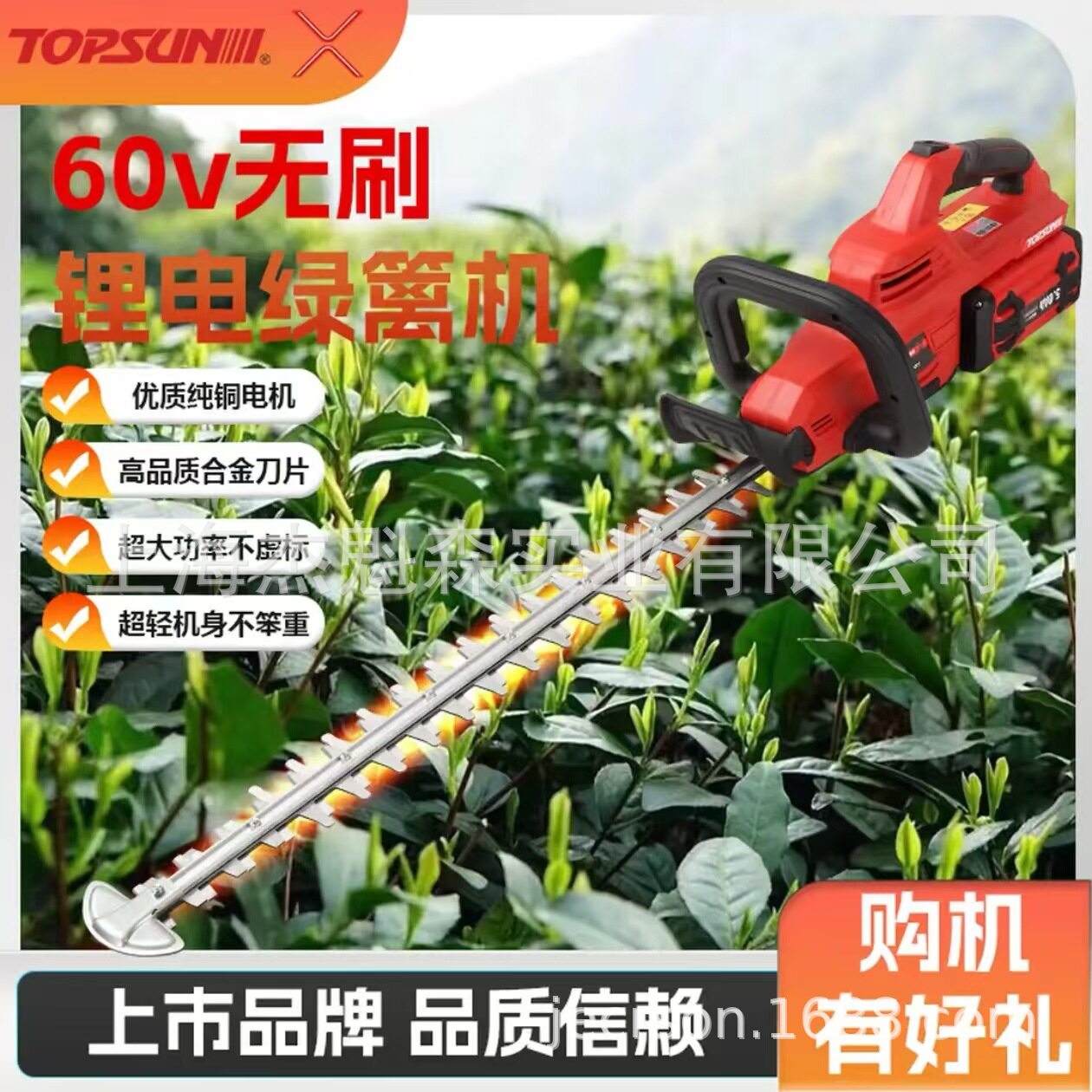 TOPSUN电动双刃绿篱机TBHT60-610D锂电绿篱修剪机园林园艺修篱机