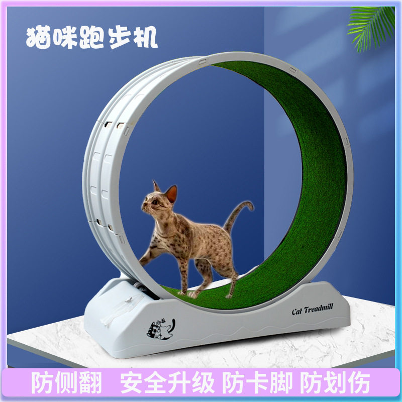 源头工厂猫咪跑步机大直径静音滚轮猫跑轮防侧翻PP新料宠物运