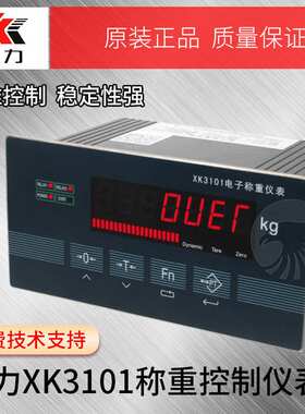 柯力XK3101N称重配料控制仪表，模拟量接口，RS485接口