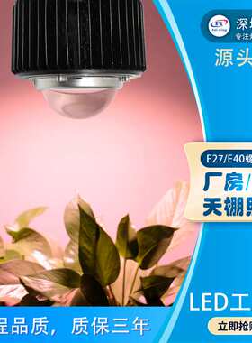 全光谱球泡灯/植物上色灯50W60W80W100WLED植物灯 仿太阳光生长灯