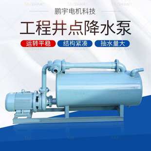轻型井点真空降水泵电动铸铁抽水工程基坑降水设备井点降水泵