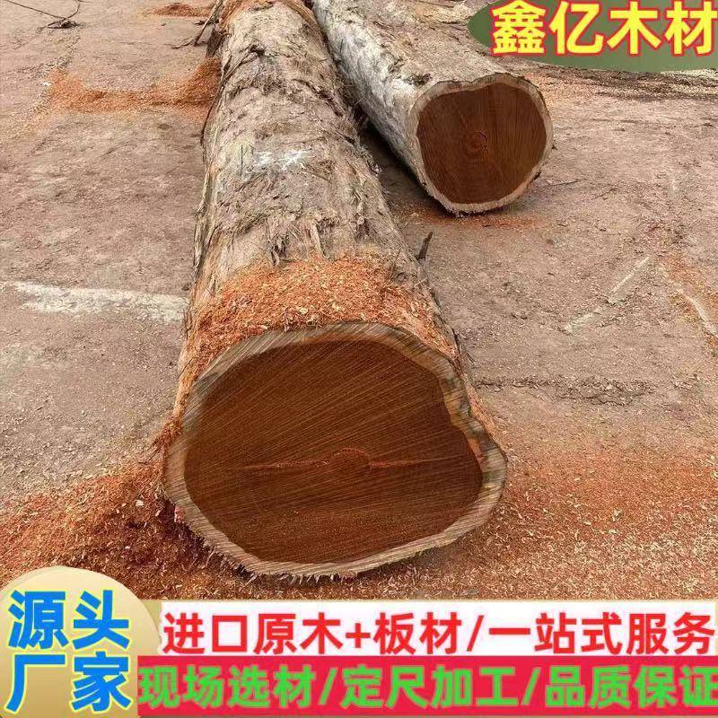 南美白酸枝木料，墨西哥白酸枝原木木板阔变豆，阔变豆原木板材