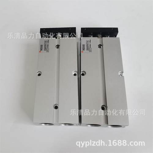 双轴气缸TN20/N25/TN2X150/200TX2350X300Hx350-400*450X500-S-56