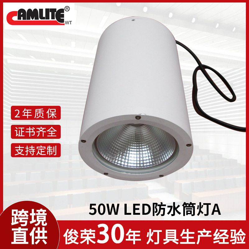 50W防水LED筒灯室内户外吊杆