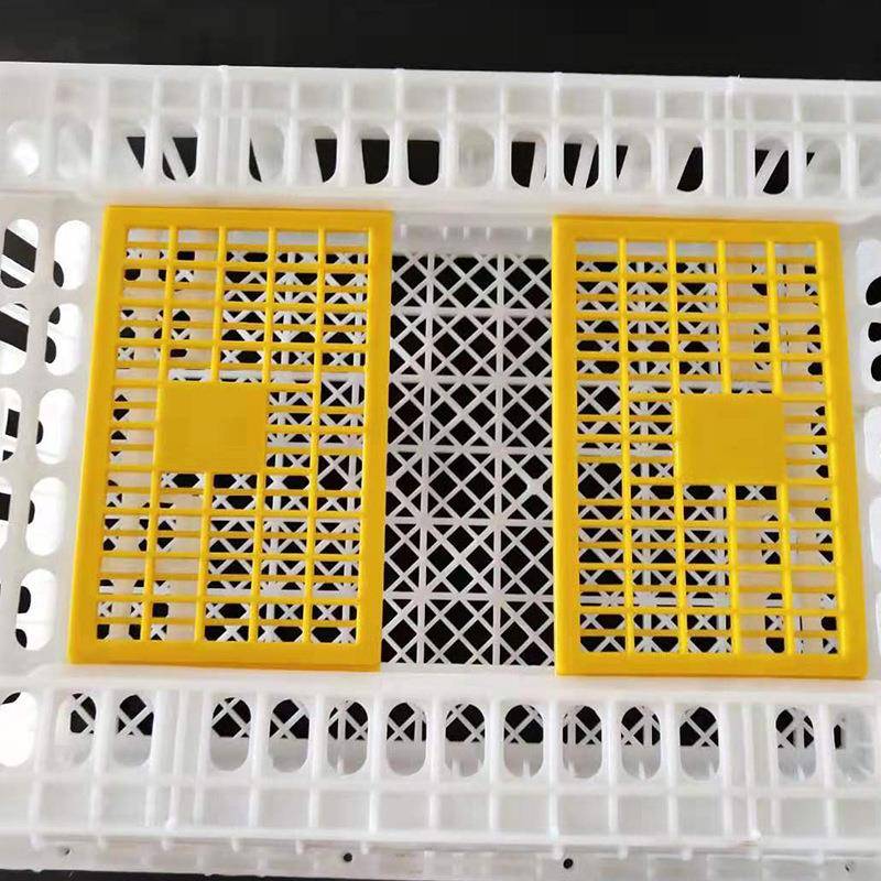运输鸡笼白塑料鸡笼鸭双开TTZ门自周动扣家禽转筐蛋鸡笼黄周转箱