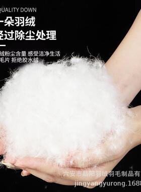 90普白OZN鹅绒洗国被标纯中大朵白国标水羽绒羽毛服