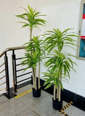 造仿真香龙21076-15血植物盆栽高品轻奢小树假树树客装厅饰庭院景