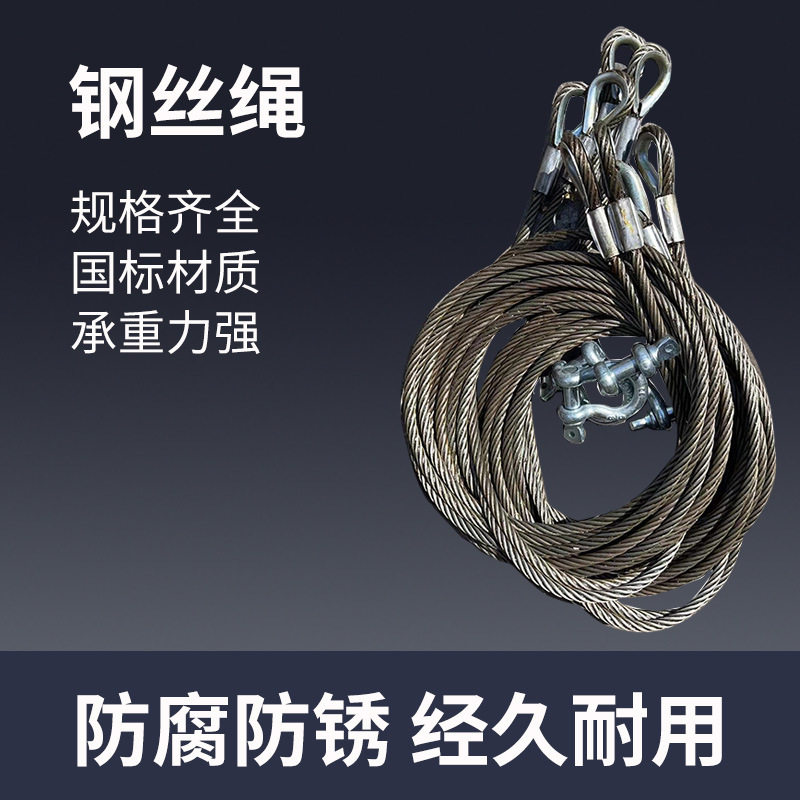 防旋转镀锌钢丝绳电动葫芦专用