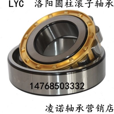 洛阳圆柱滚子轴承 N NF NU NJ RN NUP 414 415 416 417EM/C3