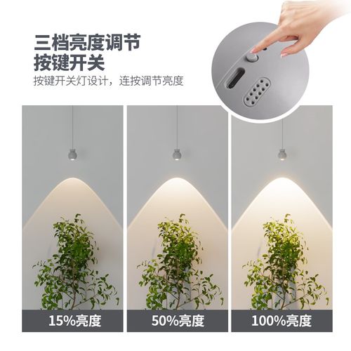 免接线充电款小吊灯玄关可升降长垂线氛围灯现代简约背景墙装饰灯