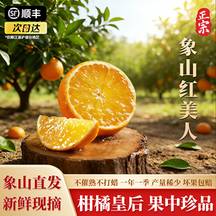 正宗象山红美人橙子爱媛果冻橙新鲜水果当季果园现摘礼盒圣诞礼物