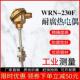 WRE2 WRN 430F耐腐热电偶 WRE 230 230F耐腐热电偶 330F