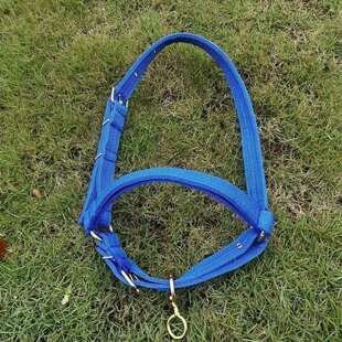 秃头牛笼套板带扁带头套大牛小牛犊笼头牛龙头加长可调节加固拴牛