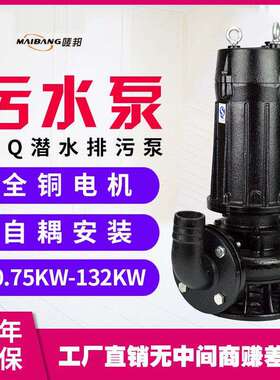 WQ15-20-2.2KW无堵塞污水泵杂质潜污泵排污泥提升水泵潜水排污泵