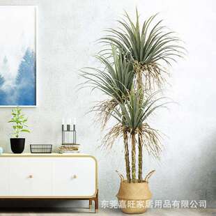 仿真植物龙血铁树盆栽假多杆丝兰树落地装饰花北欧绿植婚庆布置