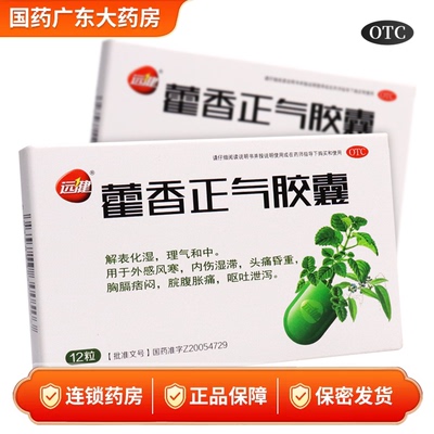 远健藿香正气胶囊12粒解表化湿理气和中暑湿感冒头痛腹胀呕吐泄泻