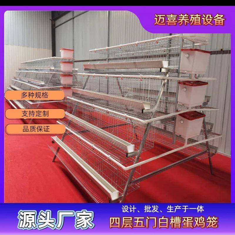 四层五门阶梯白槽蛋鸡笼镀锌工艺结实耐用不易腐蚀,畜牧/养殖物资,特种养殖设备,淘宝优惠券,粉丝福利购,淘宝优惠卷