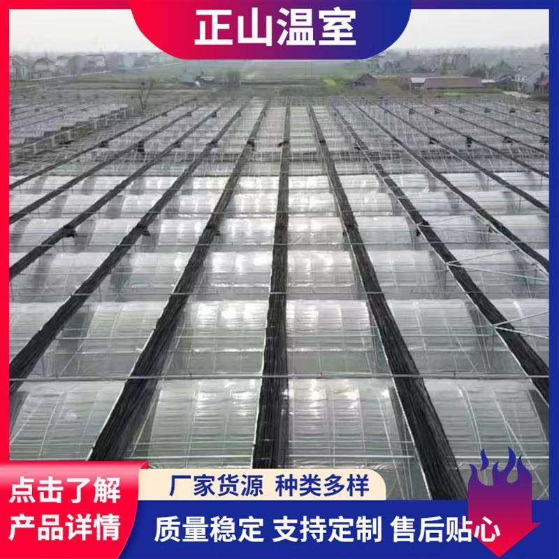 厂家承建蔬菜温室大棚采摘观光温室工程智能阳光板温室大棚,畜牧/养殖物资,特种养殖设备,淘宝优惠券,粉丝福利购,淘宝优惠卷