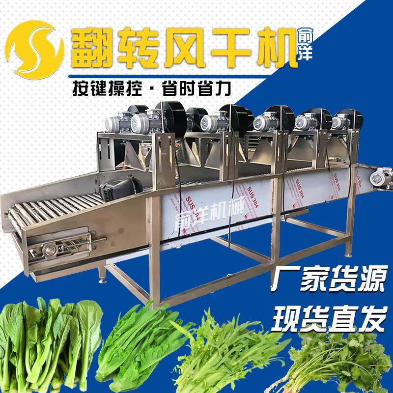 供应食品包装袋风干机全自动翻转式风干机软包装强流风干机