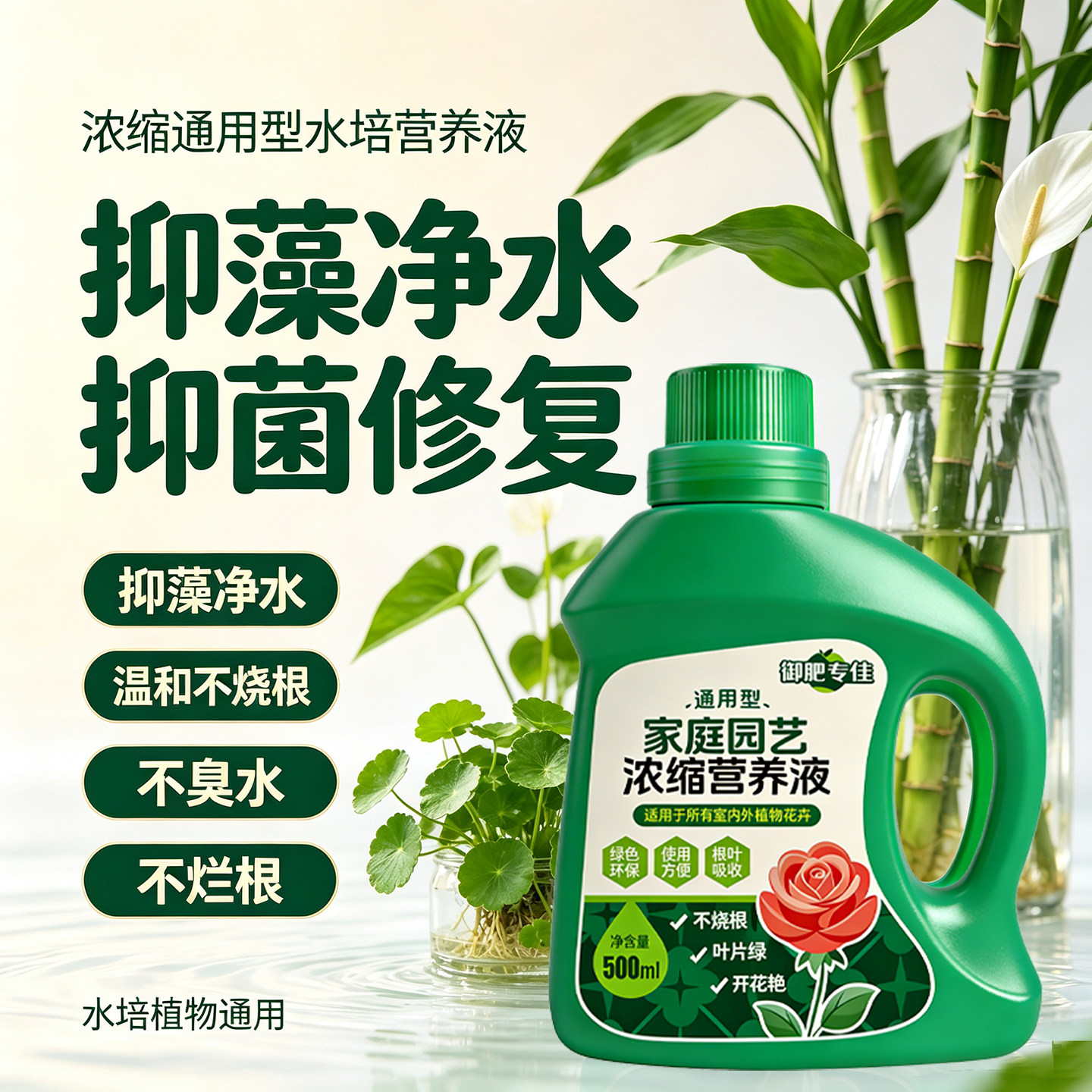 水培植物专用营养液富贵竹