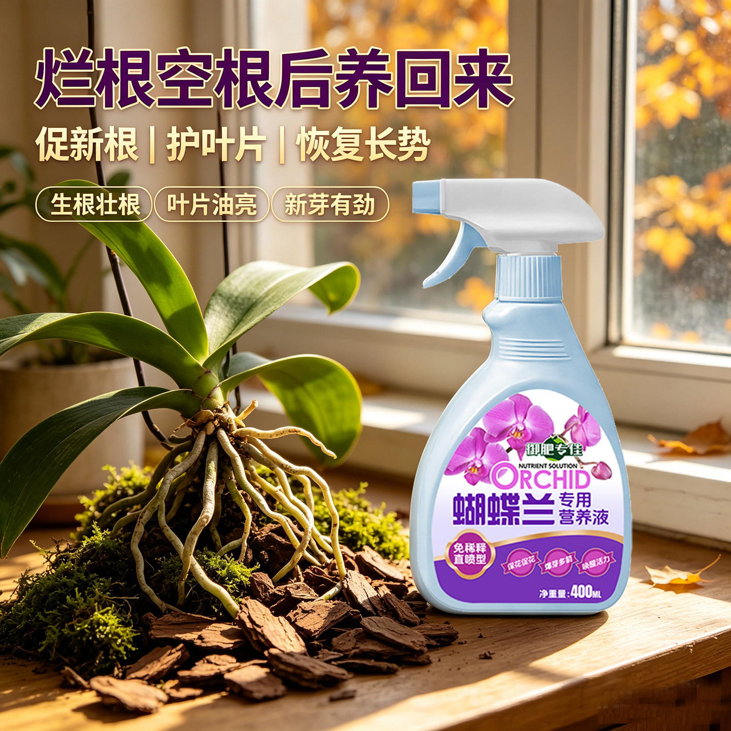 蝴蝶兰营养液生根水溶肥