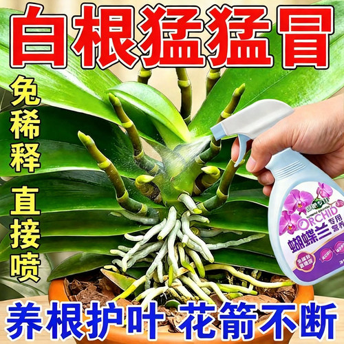 蝴蝶兰专用营养液促花箭开花肥