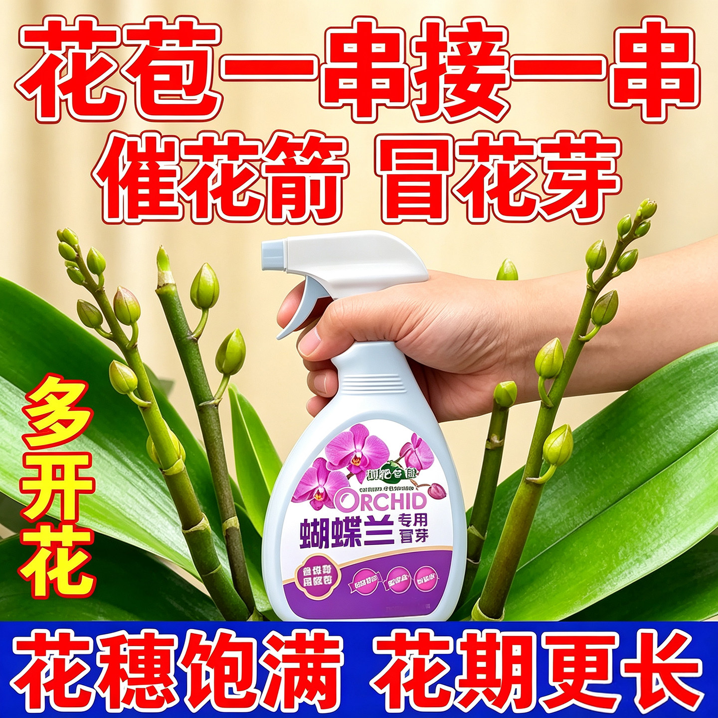 蝴蝶兰营养液盆栽花肥促花苞