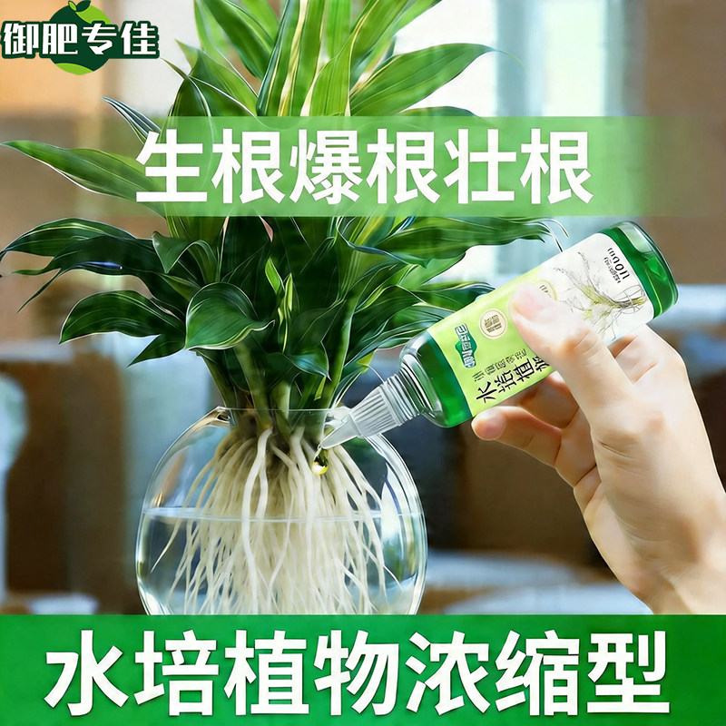 御肥专佳水培植物营养液爆根系壮根防烂根绿萝金钱草多肉通用肥