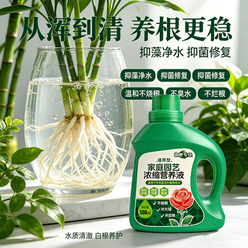 水培植物浓缩营养液富贵竹