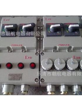 防爆仪表箱 BZA58防爆应急双电源箱 BXS8030切换箱BSG-T BXK-T.
