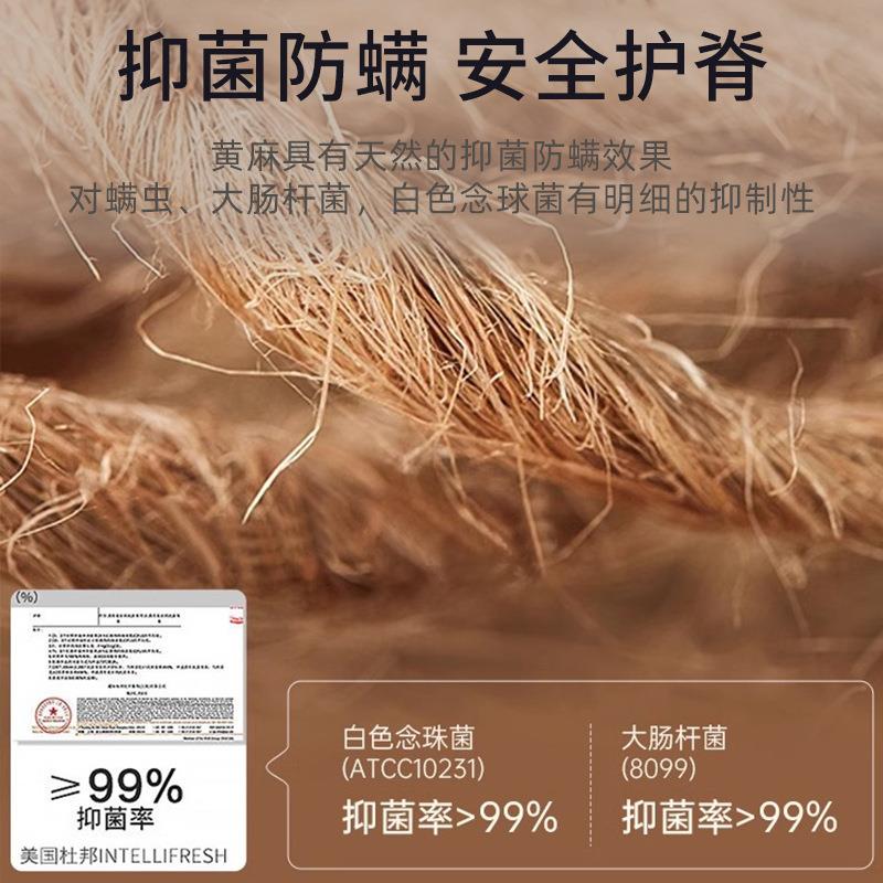 床垫椰棕垫FS758483棕榈硬卧房室家用垫出租垫经济型软硬两用踏踏