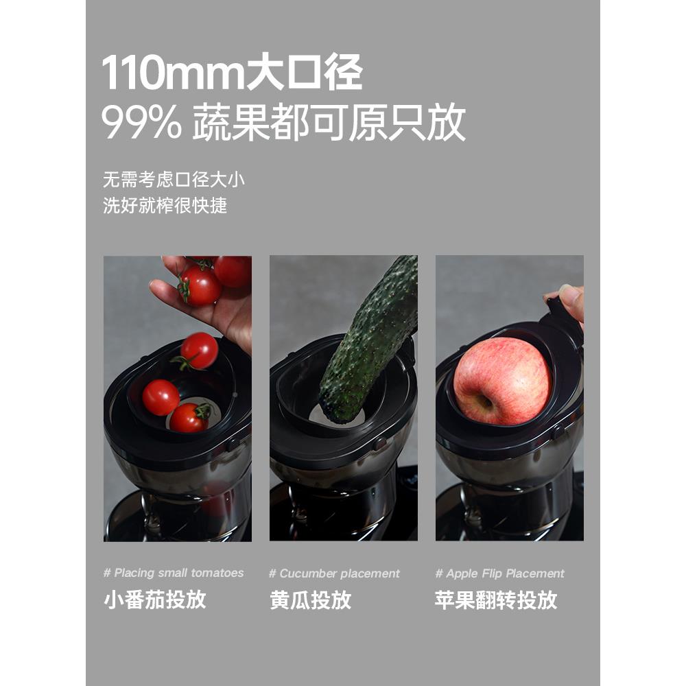 德国榨汁渣汁分离家用水果KYC菜商用大口径免切过滤机原汁蔬机果