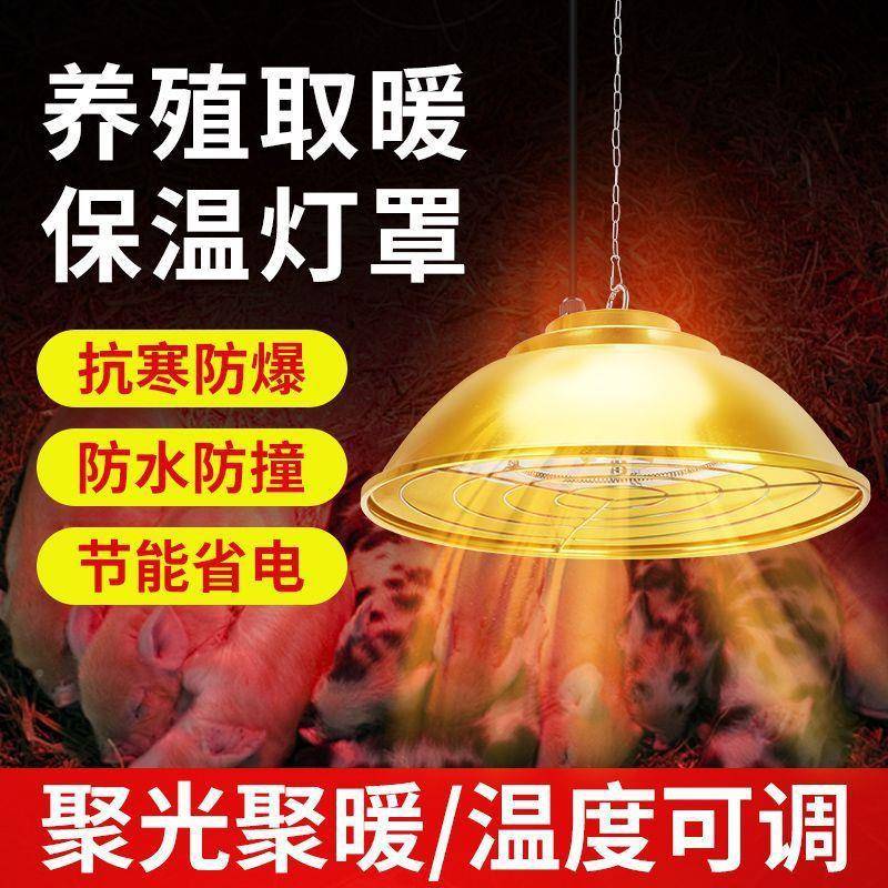 碳纤维保灯仔猪卤素温保温灯管鸡用取灯泡可调温用加热取LSN暖灯
