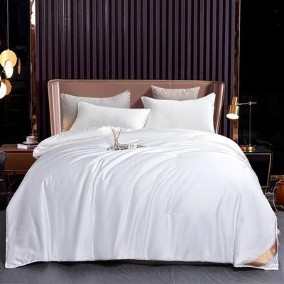 直宫销棉蚕丝被双桑蚕全丝被纯手工高档72284蚕丝被子春秋被芯芯