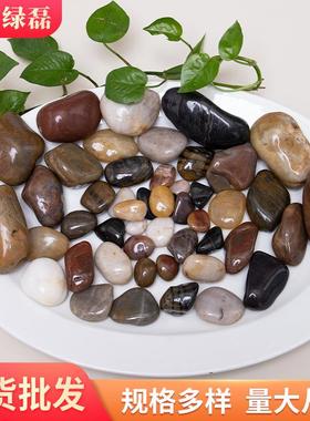 五彩池雨花石色黑白色红色亮MJF黄色抛光高鹅卵石园林铺路塘造景