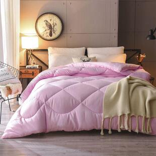 羽丝绒太空冬被加厚保丝绵被暖芯被子10斤1冠满家纺2单舍春人双人