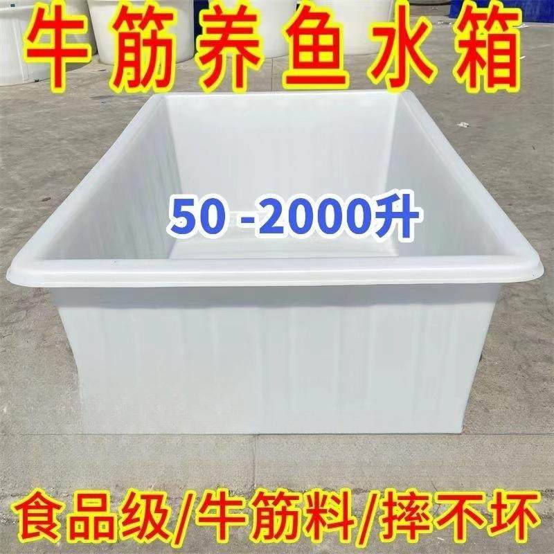 大加厚牛筋塑料水号箱长方养形周转产箱水养殖箱鱼牛筋KIG箱大号,鲜花速递/花卉仿真/绿植园艺,其它园艺用品,淘宝优惠券,粉丝福利购,淘宝优惠卷