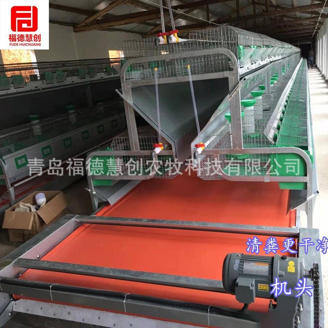 种殖兔舍XVX兔卫生清养理输送自带式动清粪系统粪尿清理设备