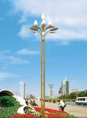 莲花中华灯户外6米8米10米12米15米广场景观道路超亮led高杆灯