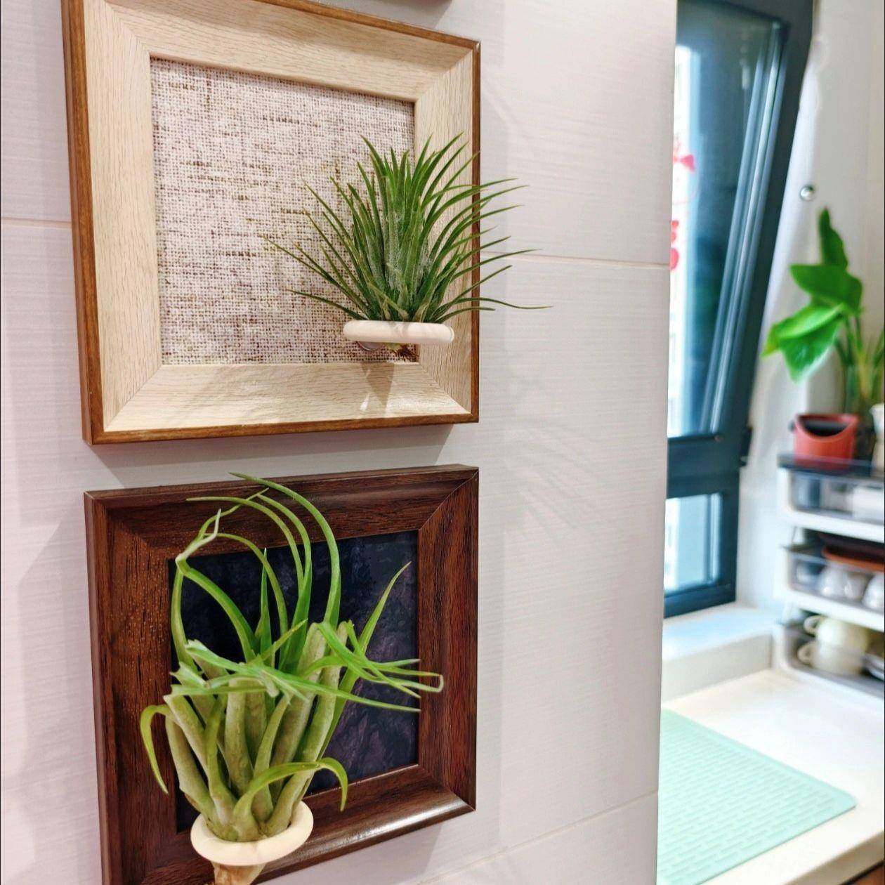 画感空气框梨凤装饰画绿植客厅办室精公致75ZH9425摆件,家居饰品,DIY亲子装饰画,淘宝优惠券,粉丝福利购,淘宝优惠卷