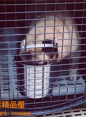 式狗桶狗喝桶不锈钢狗笼挂式饮yx570600水大型犬饮水器水悬挂水壶