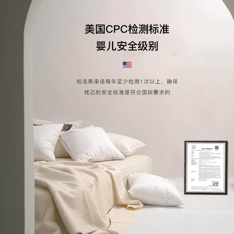 V45O芯绒F77J858H现代酒店家用鹅毛芯沙抱枕羽芯发内胆羽丝绒靠枕