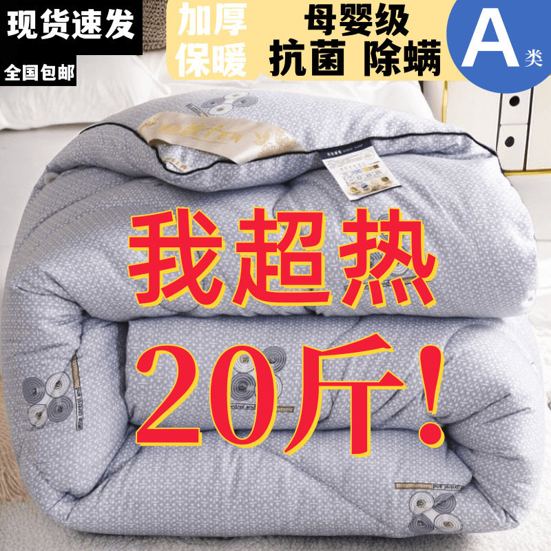 加厚保暖羽丝绒棉被芯冬天超厚被子丝棉被学生宿舍被褥直销