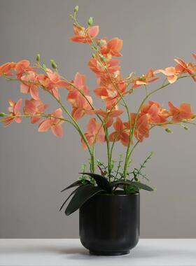 中式仿花蝴蝶兰花艺摆件真假花绢装内饰客厅电视柜室2023010盆栽